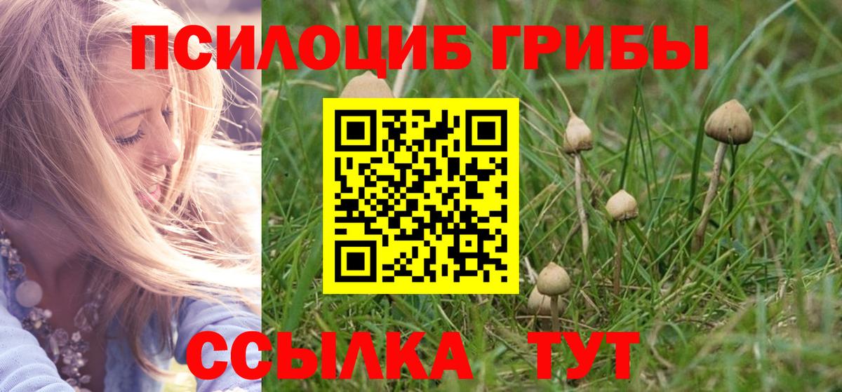 Псилоцибиновые грибы ЛСД Долгопрудный