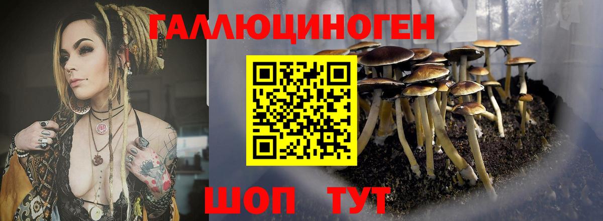 Долгопрудный  Галлюциногенные грибы мицелий  Вход с VPN  купить   Псилоцибиновые грибы MAGIC MUSHROOMS 