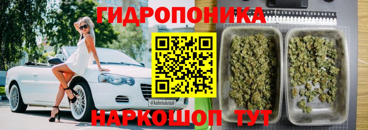 Бошки марихуана марихуана  Вход с VPN  Долгопрудный  МАРИХУАНА конопля  Бошки Шишки Ganja 