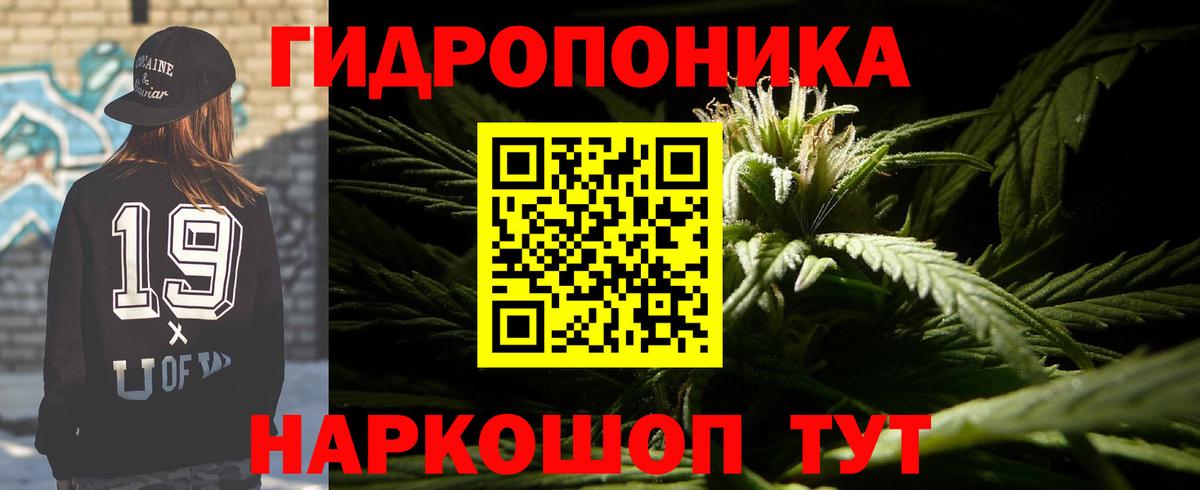 Марихуана конопля Долгопрудный